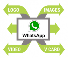 Whatsapp Marketing Ahmedabad